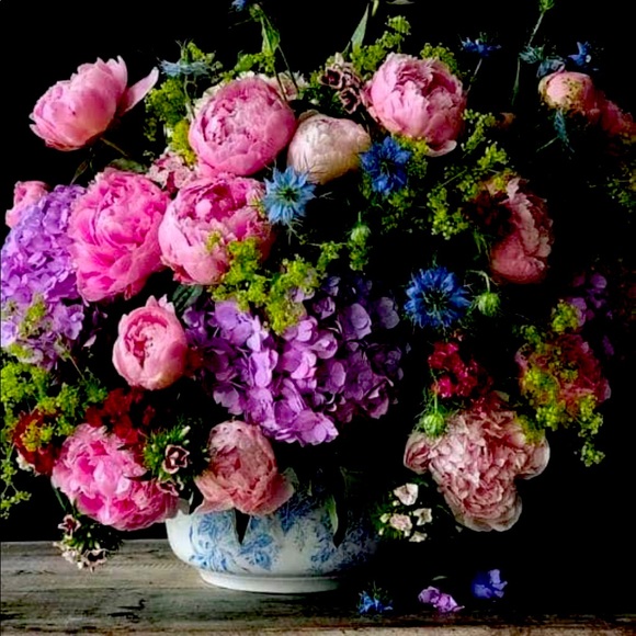 Meet your Posher, Kathleen - Picture 1 of 1